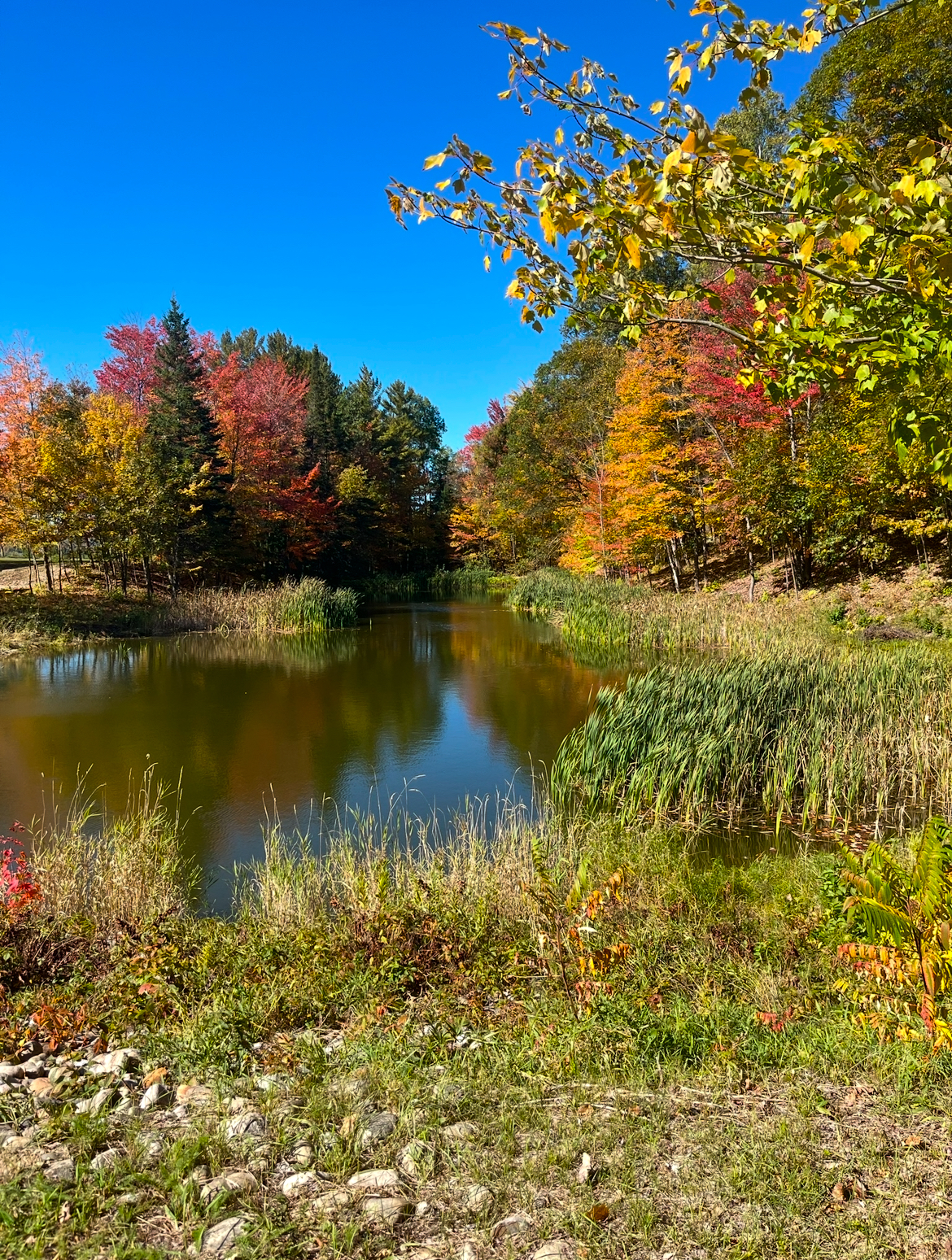 Stunning Fall photos (2022) Abbaye Val Notre-Dame